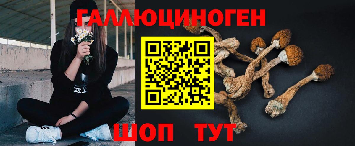 купить наркотики цена  Псилоцибиновые грибы мухоморы  Вход с VPN  Псилоцибиновые грибы Psilocybe  Ялта 